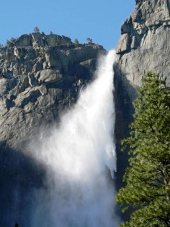 Yosemite Condominium Yosemite West Eksteriør billede