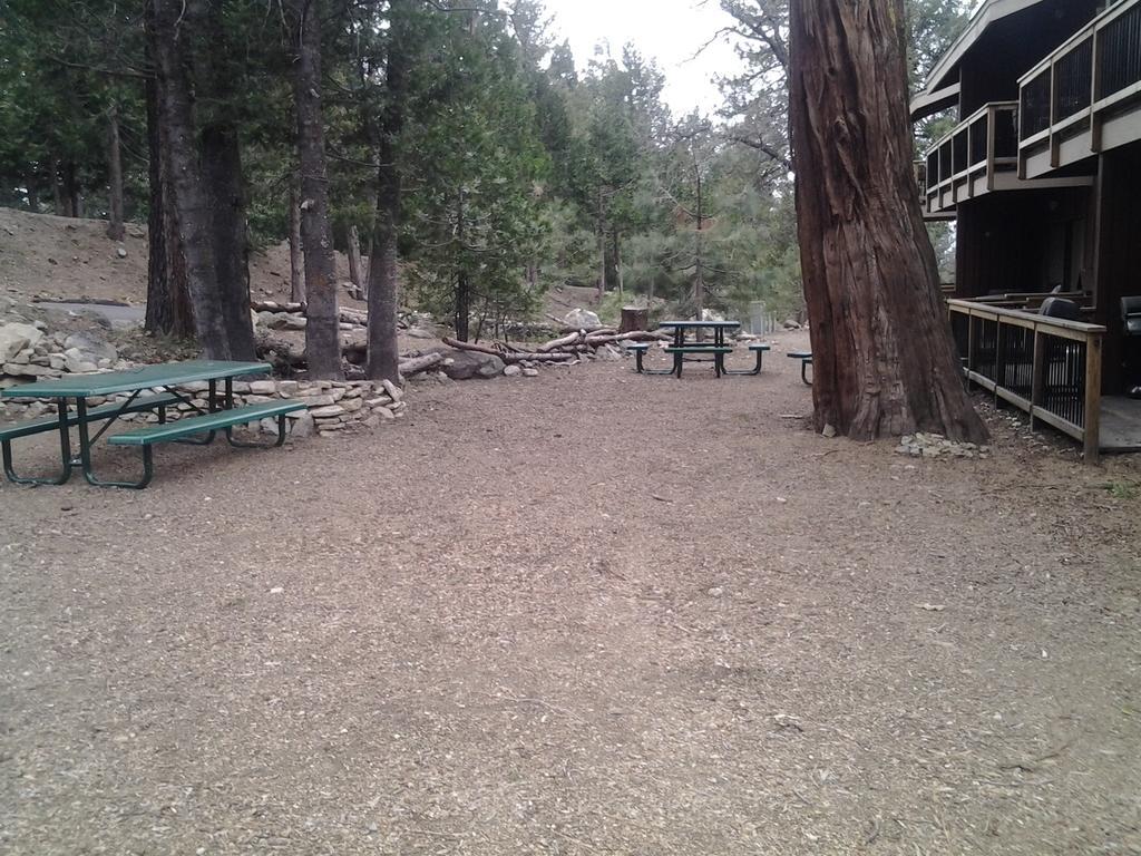 Yosemite Condominium Yosemite West Værelse billede
