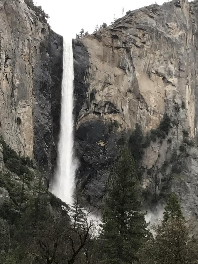 Yosemite Condominium Yosemite West Eksteriør billede